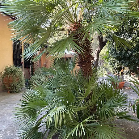 Gemma In A Pinamare Villa