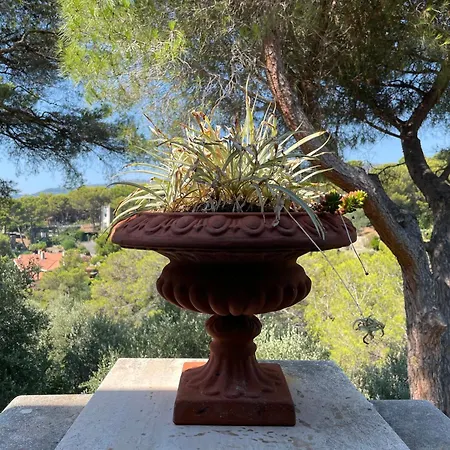 Villa Gemma In A Pinamare